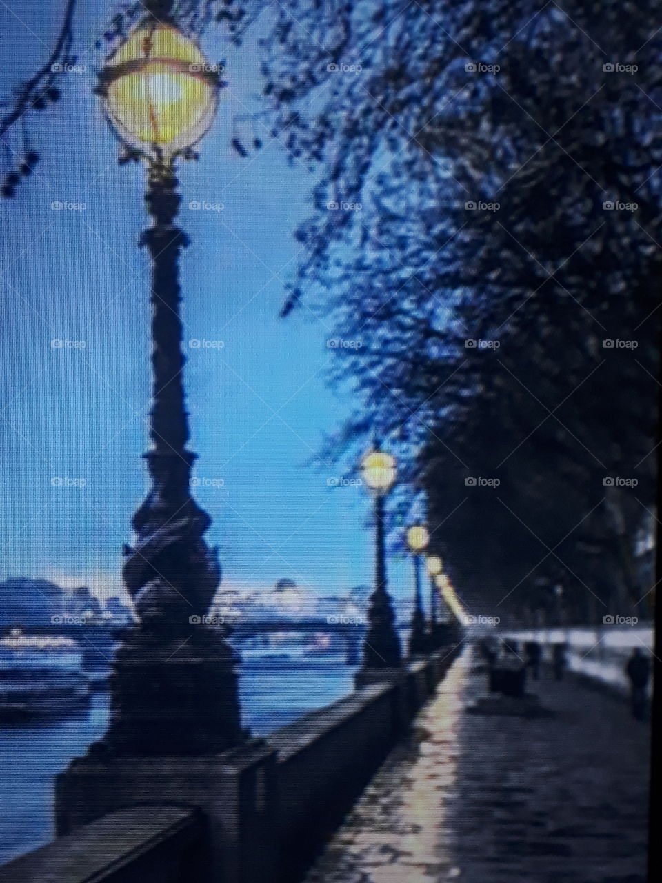 landscape of the end of the autonomous with leafless trees lampposts by the river