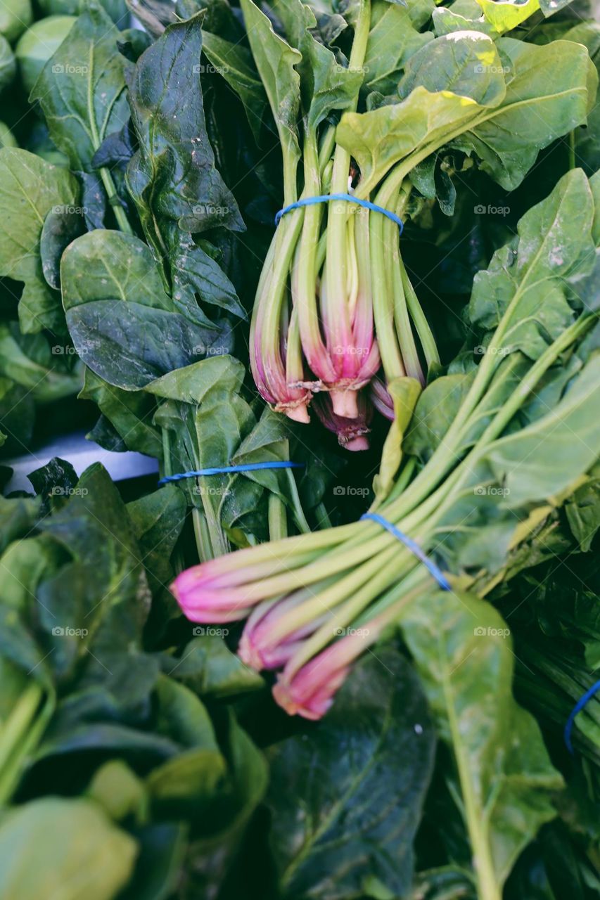 Spinach and other green leaves 