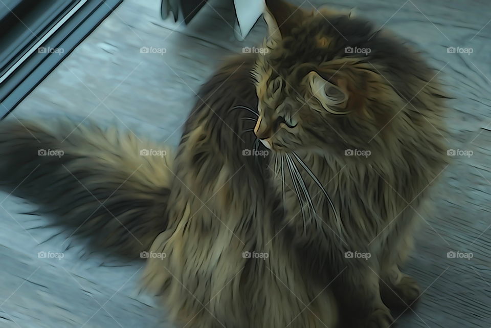 Cat with painted effect