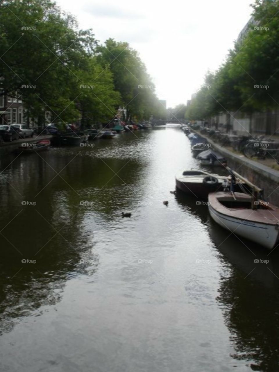 Amsterdam Canal 3