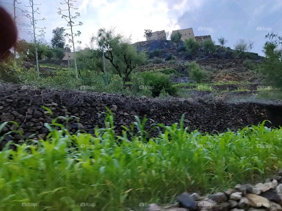 Glory be to God, the magnificent and picturesque view and the natural green trees are a view that is nothing more wonderful than it