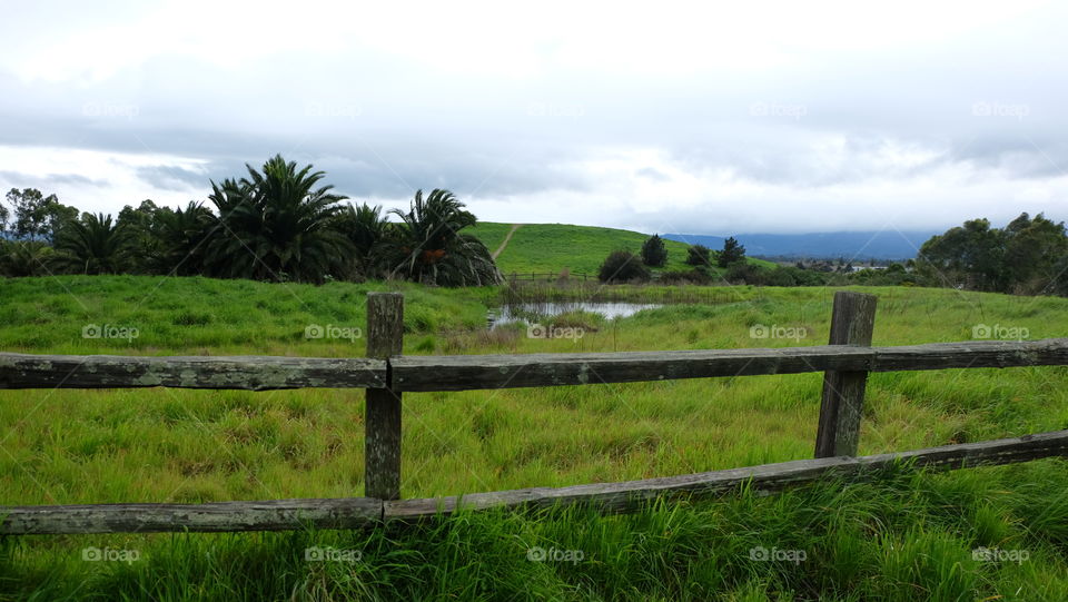 Green fenced grassland