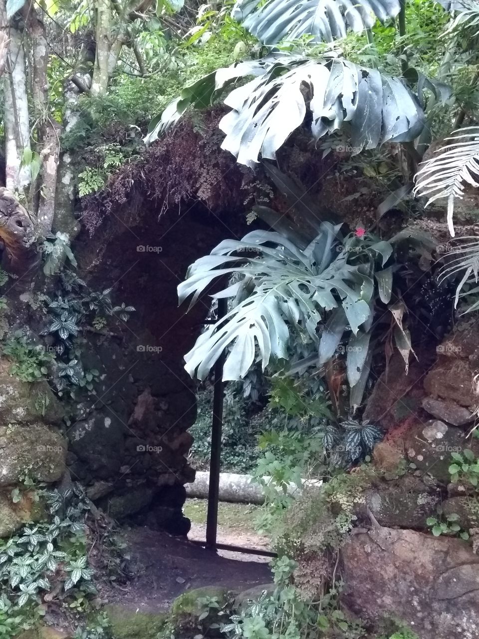 O verdadeiro portal de Nárnia