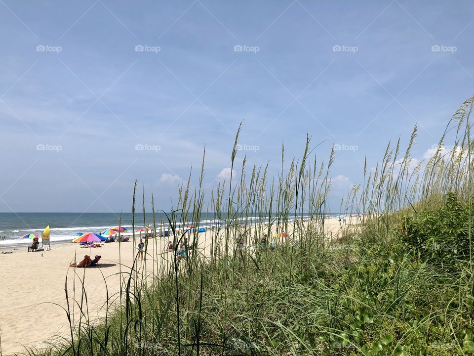 Beach front through the grass 