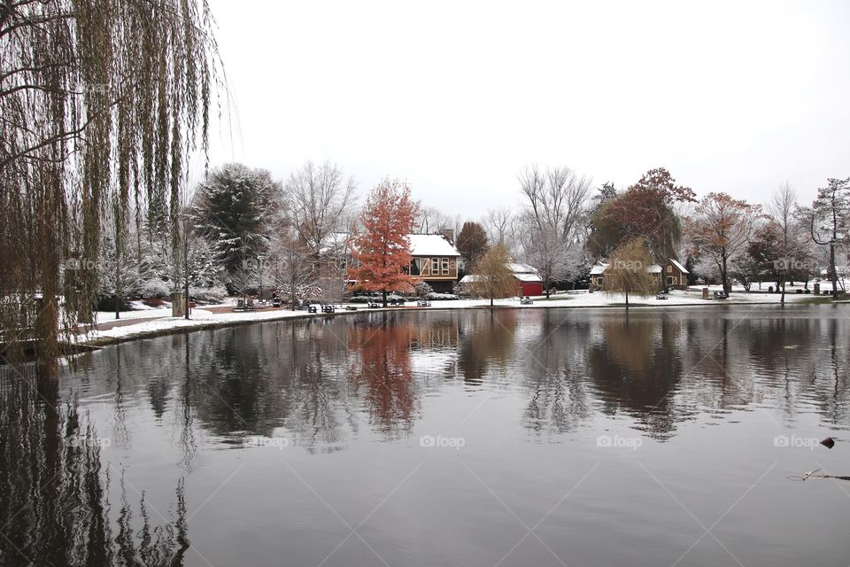 Peaceful countryside by pond in Winter