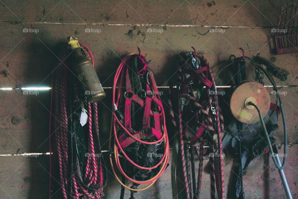 Horse tack and supplies hanging on a barn wall 🐴