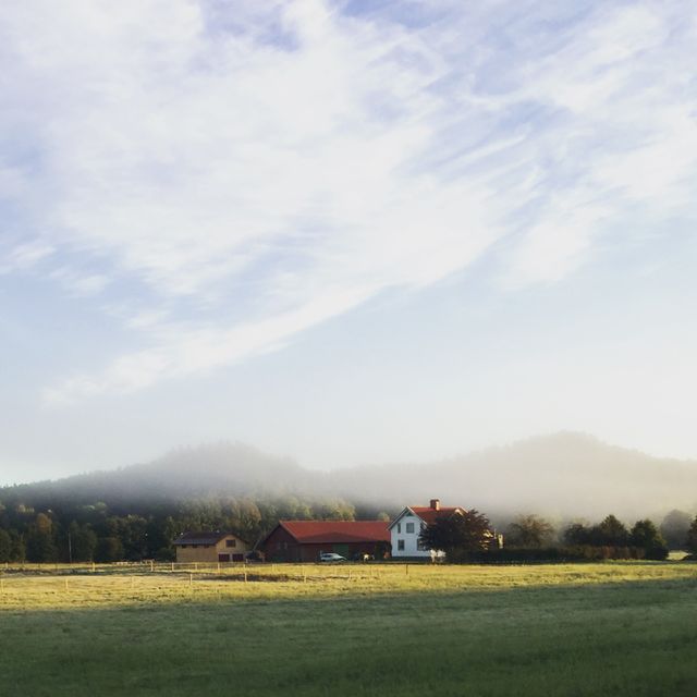 Landscape, No Person, Daylight, Tree, Agriculture
