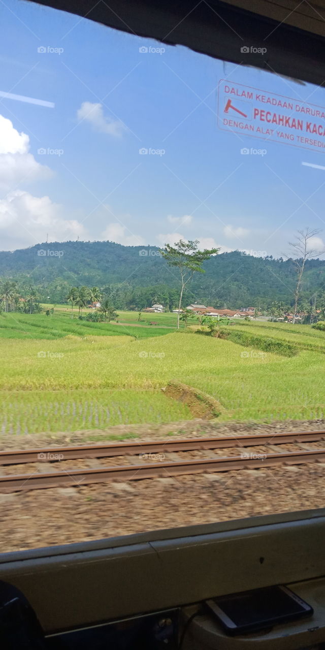 gunung dan sawah