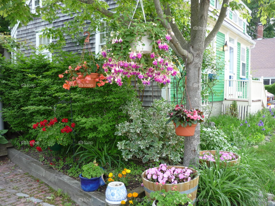 A beautiful house and garden in Provincetown, Ma