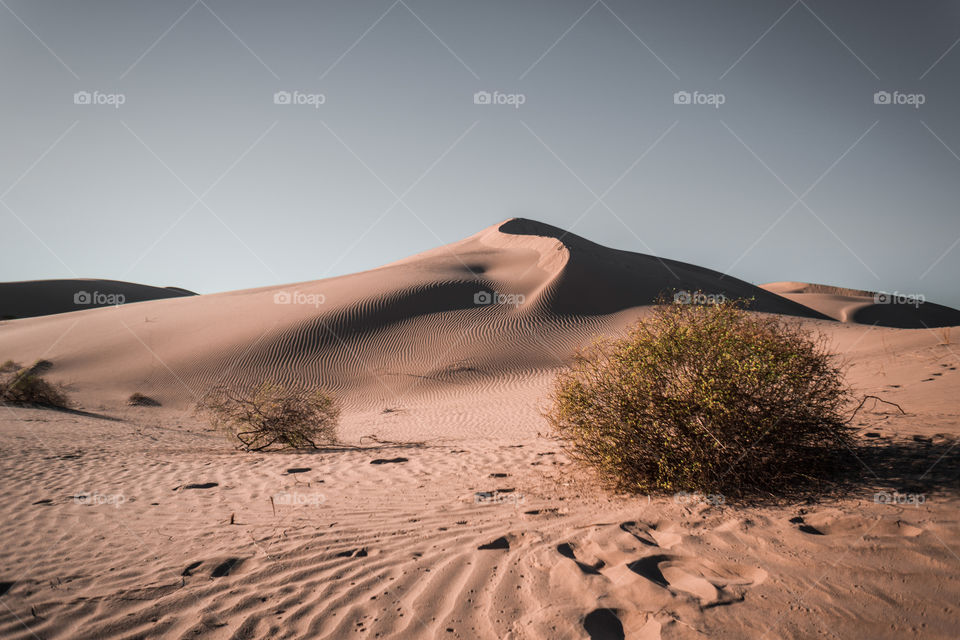 California Sand dunes