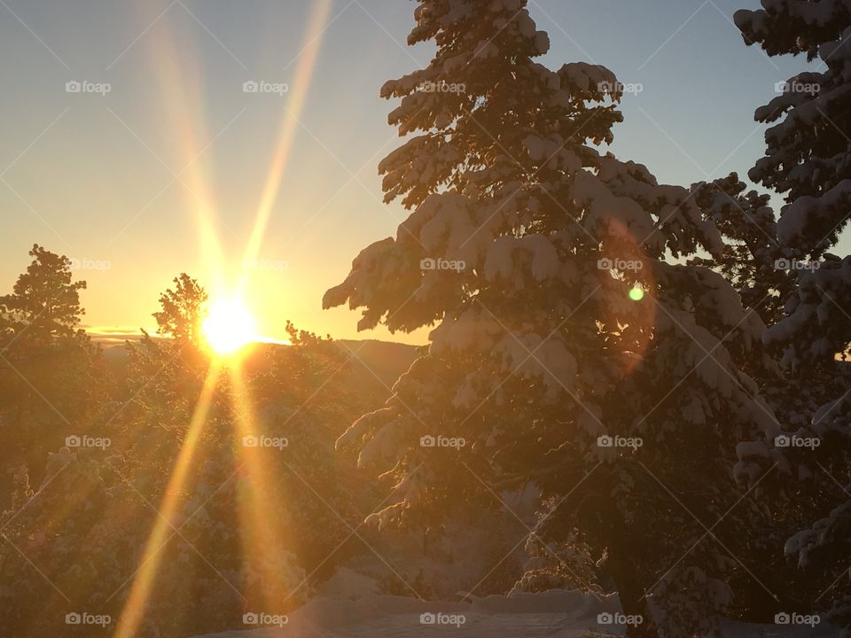 Winter morning sun