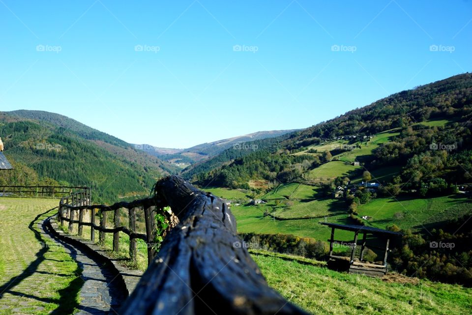 Nature#vegetation#greengrass#trees#sky