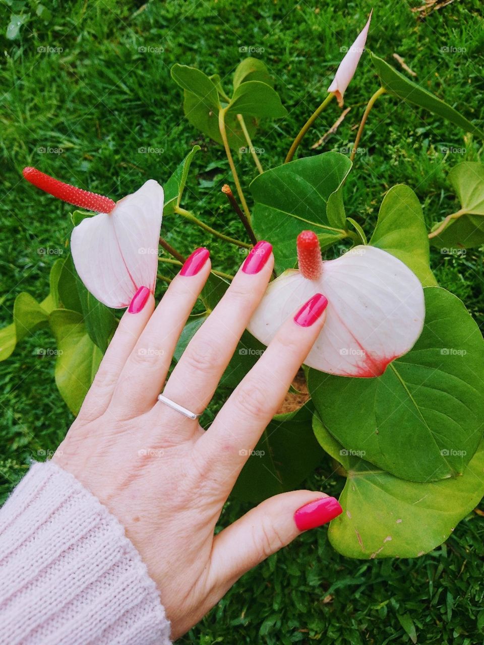 pink nails