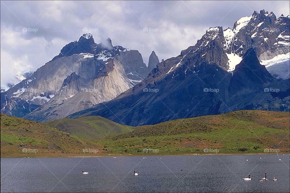 Torres del Paine