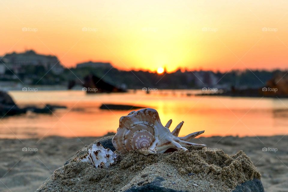 Sunrise On the beach, Meet the Dawn Early in the Morning