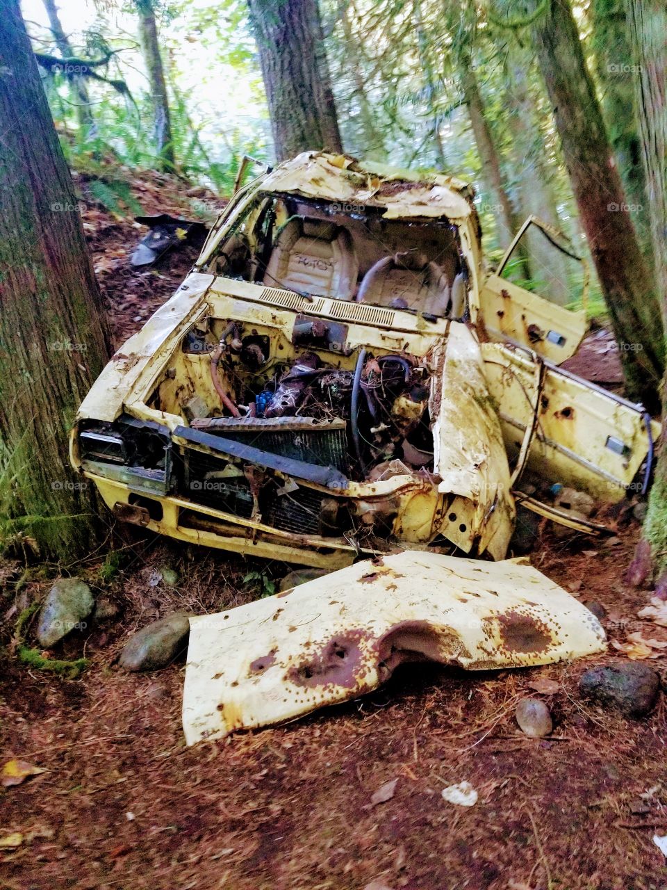 Wrecked Car on Cherry creek park trail 👣 in Duvall Washington state United States of America. Midday in the fall.
