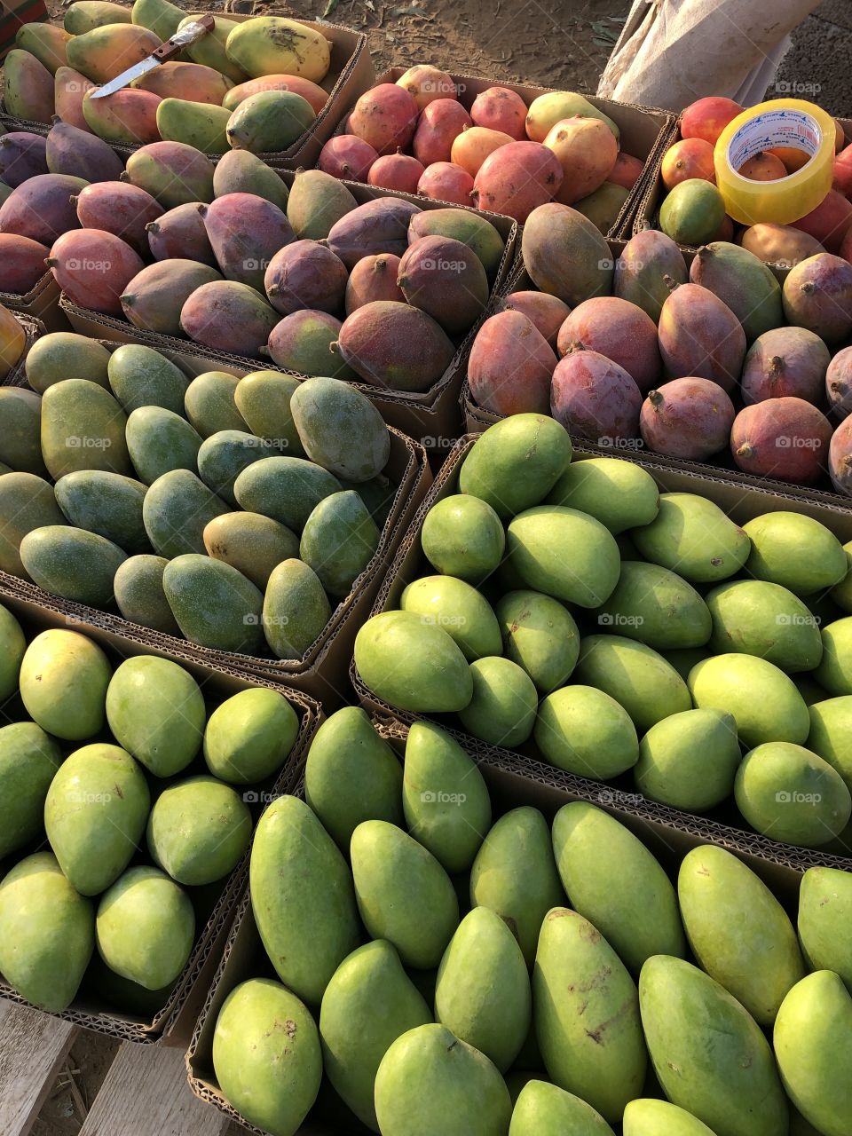 Mango season