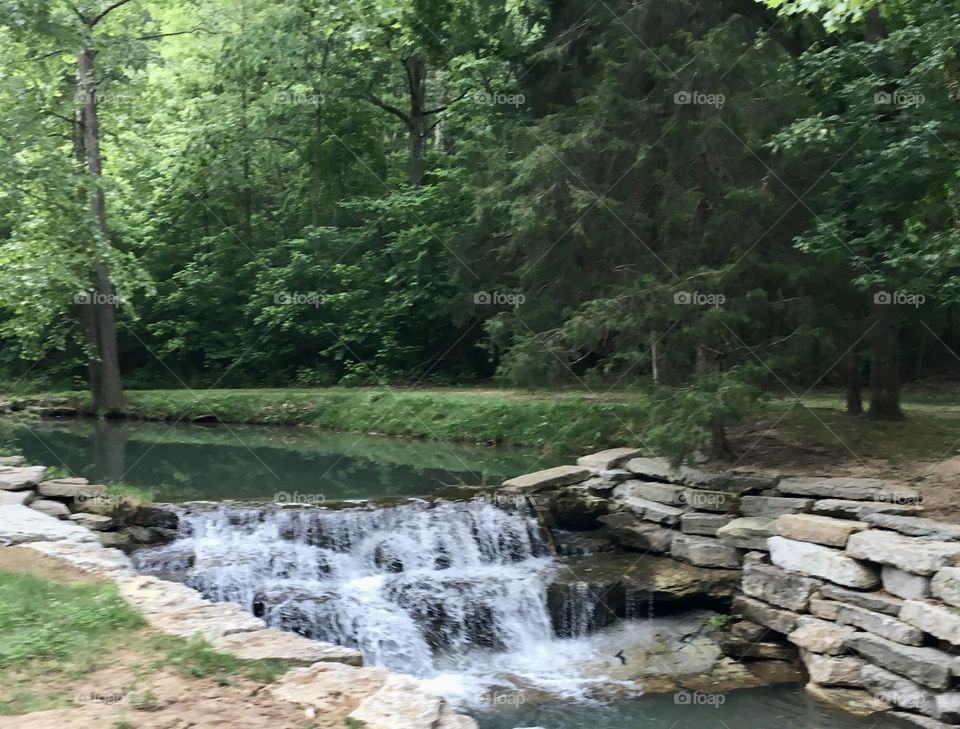 Waterfall and Woods