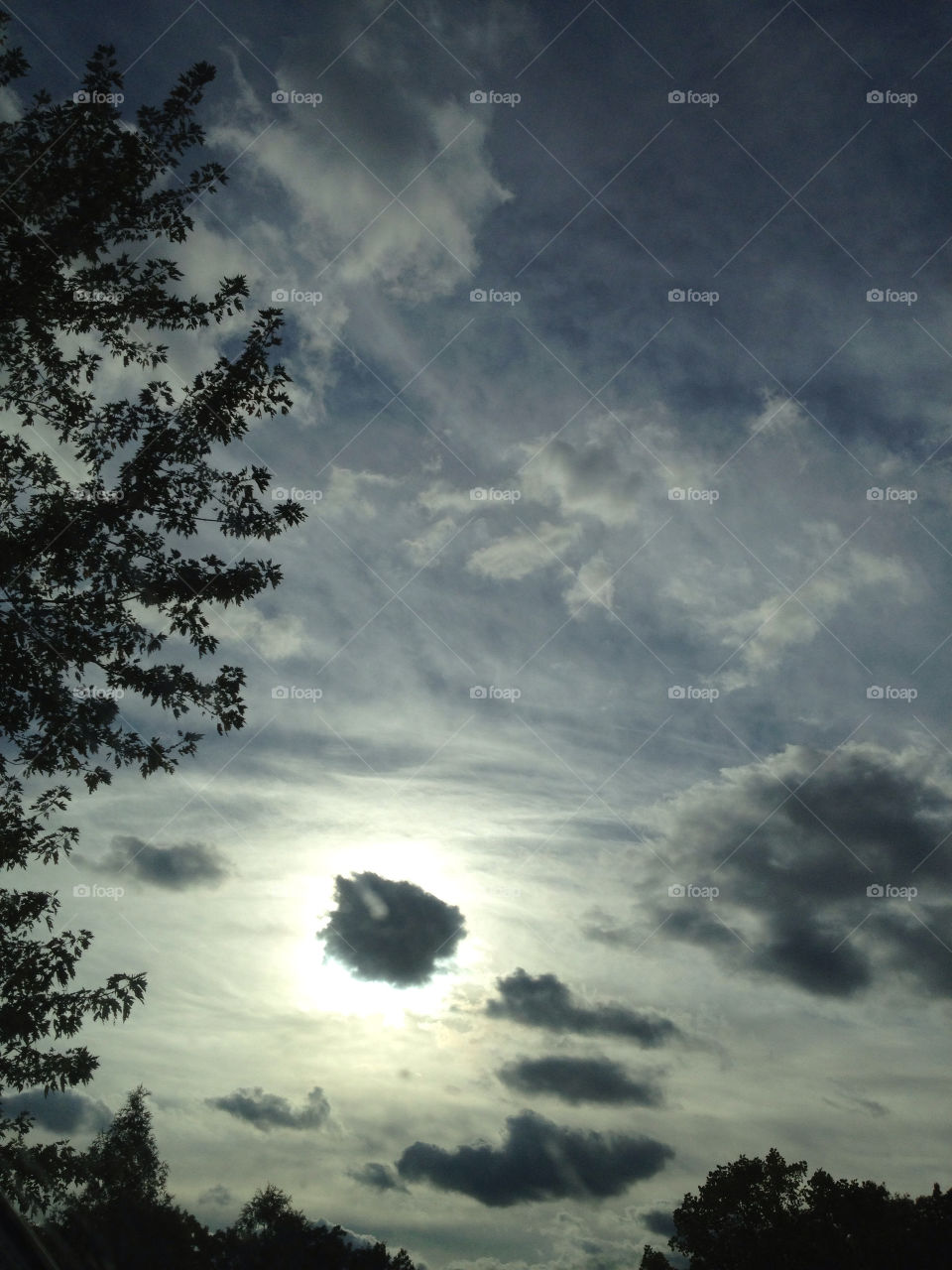 clouds trees sun behind clouds by eastofsheridan