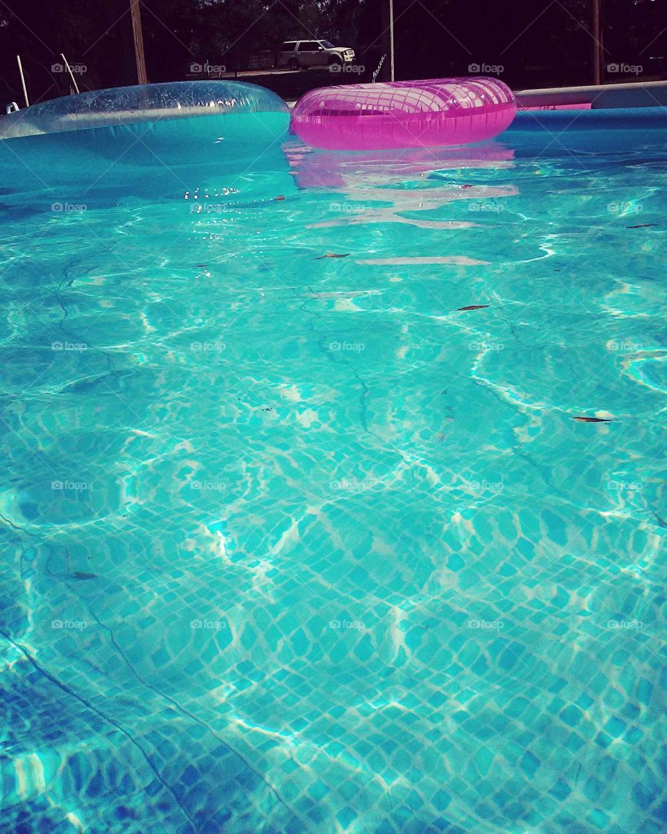 Pool in the Summer