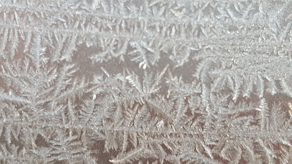 ice crystals on a cold morning