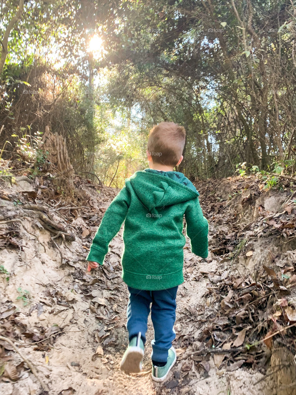 Hiking in the woods