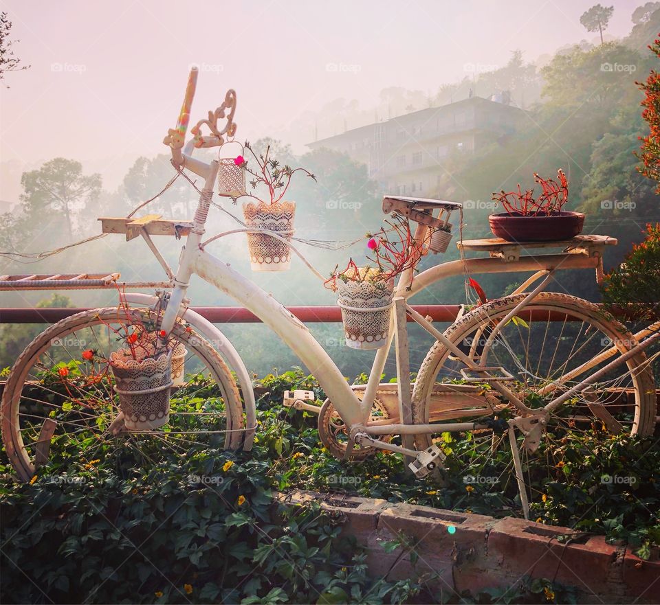 Magical bicycle in the Himalayas 