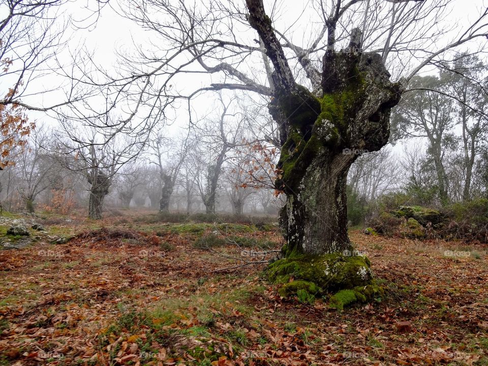 Hike in southern Spain