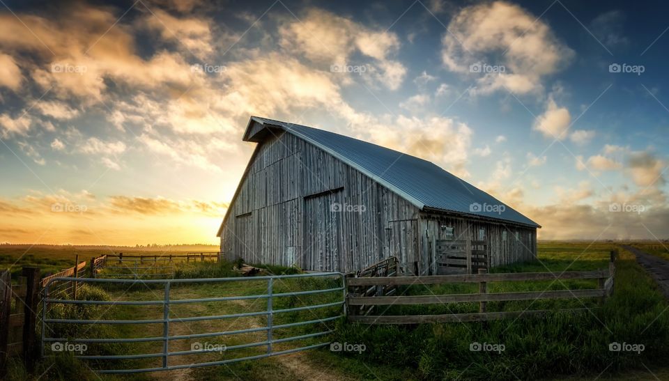 Old barn in grassy land