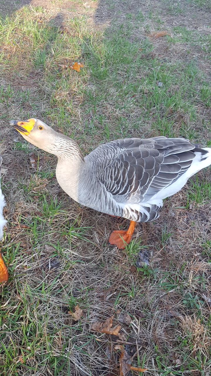 She don't like me much