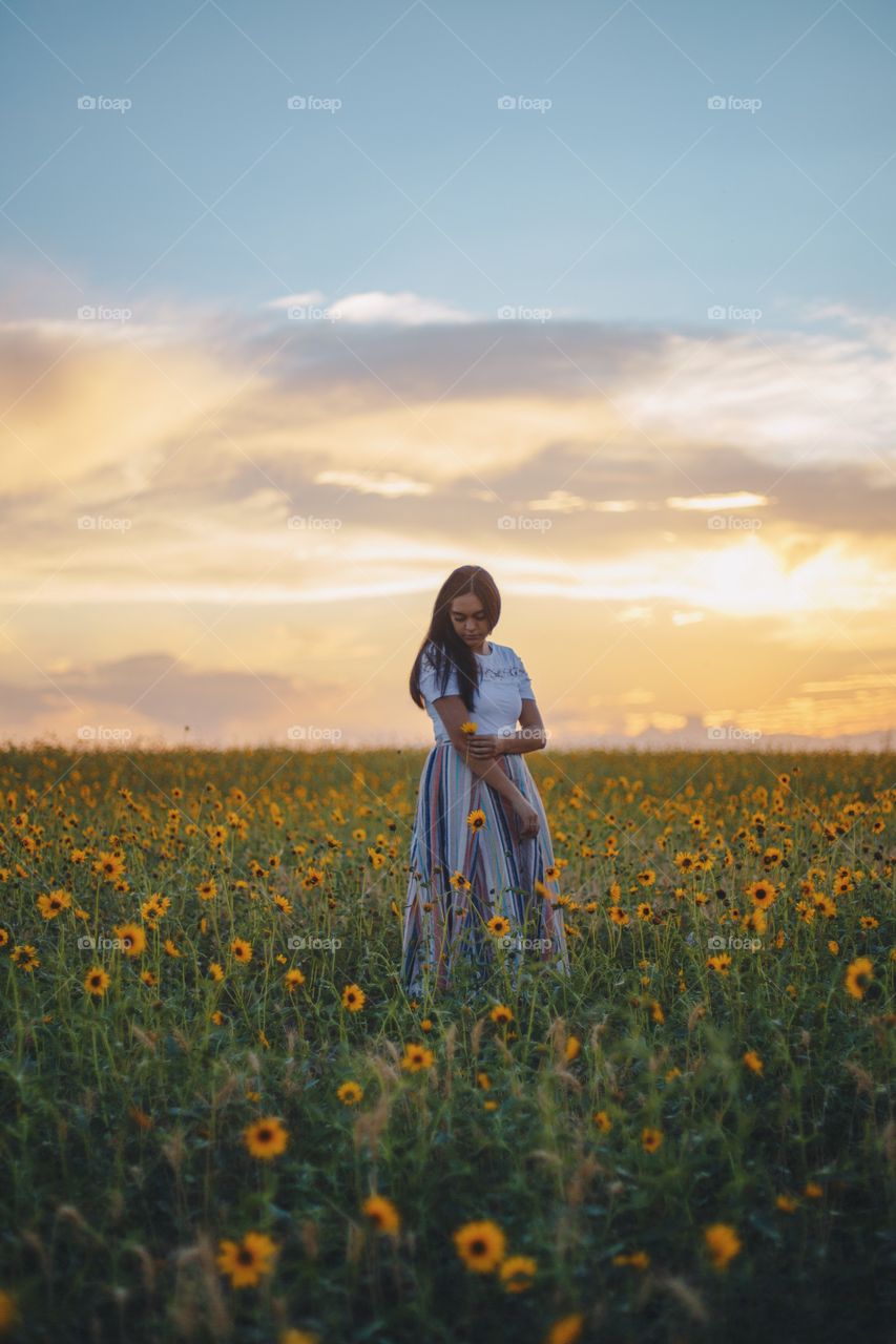 Sunflower field fun 