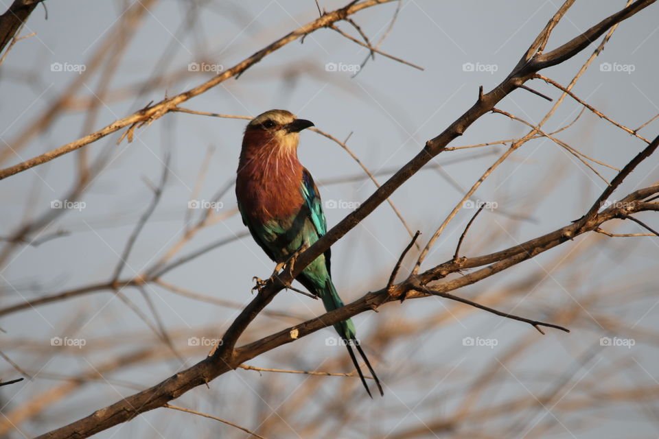 Catching the last of the sun