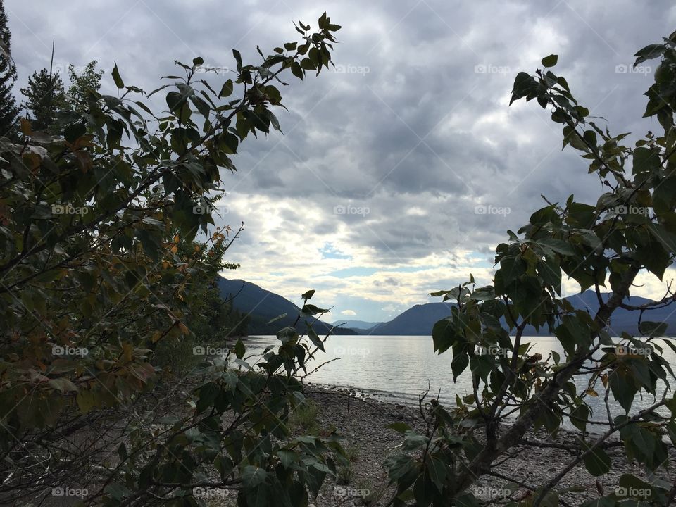 A peek into Lake McDonald in Glacier National Park.