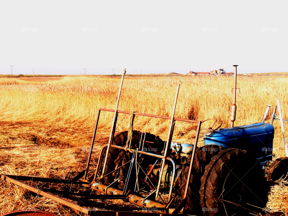 reeds farm tractor marshland by photogecko