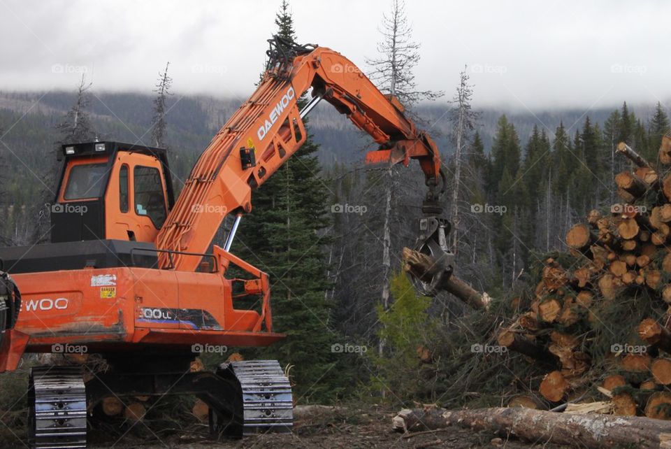 Logging operations 