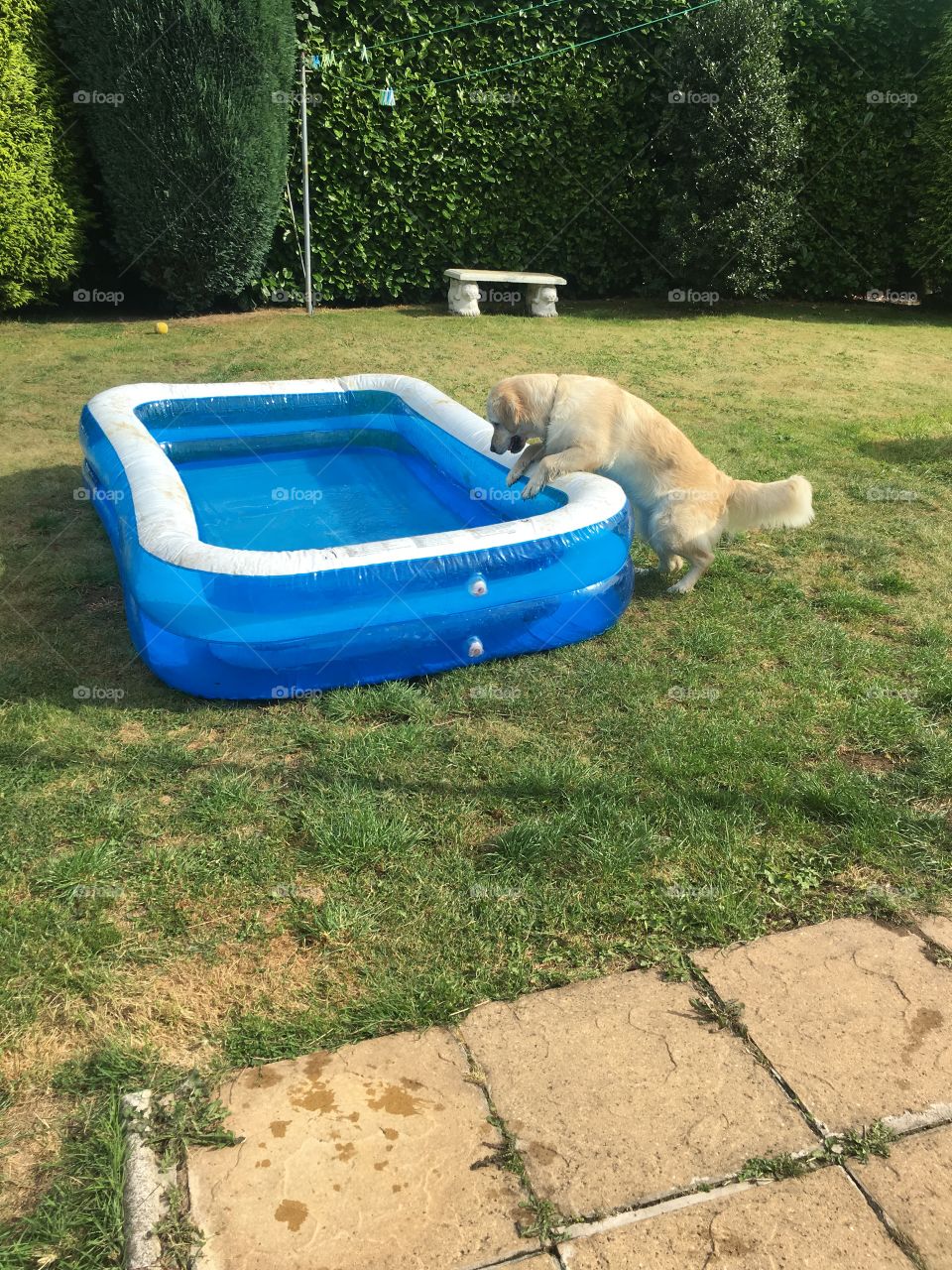 No Person, Outdoors, Summer, Grass, Leisure