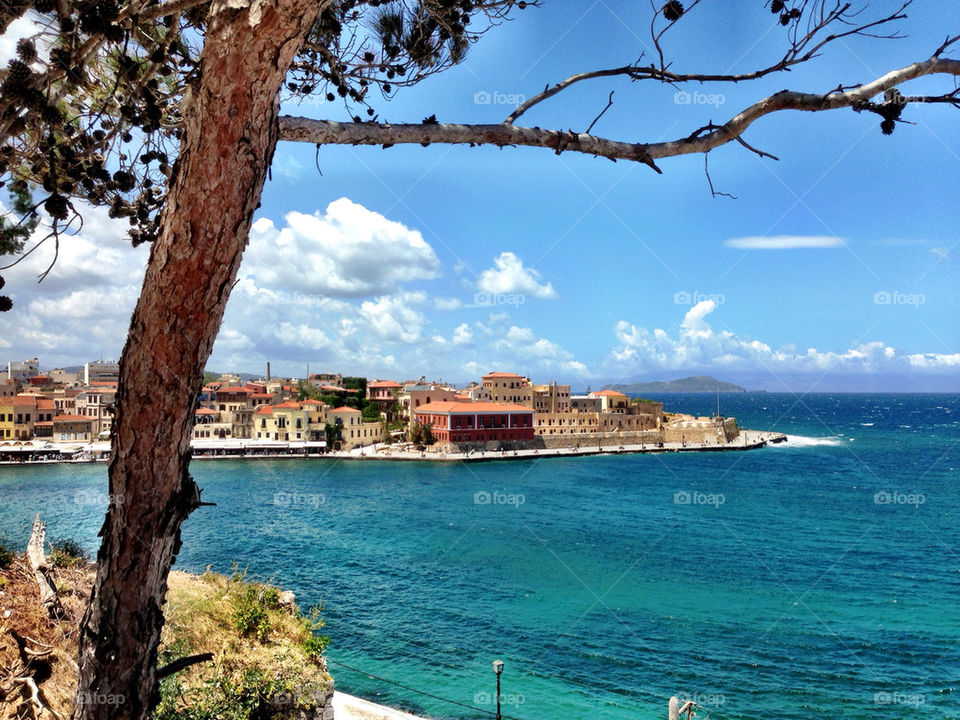 Scenic view of nature