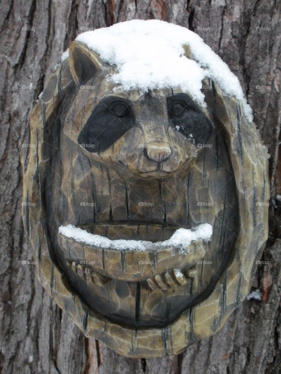 Wooden Raccoon Looks for Handout on a Cold Winter Day - Wildlife as Art Bird Feeder - Winter in Wisconsin 