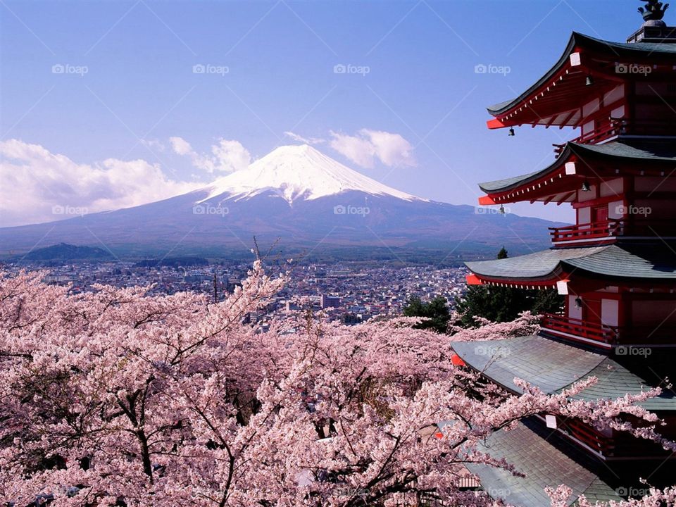 Mount Fuji Scene