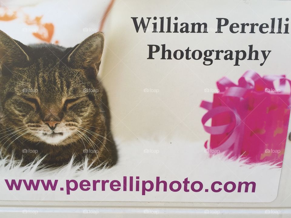 Perrelliphoto.com