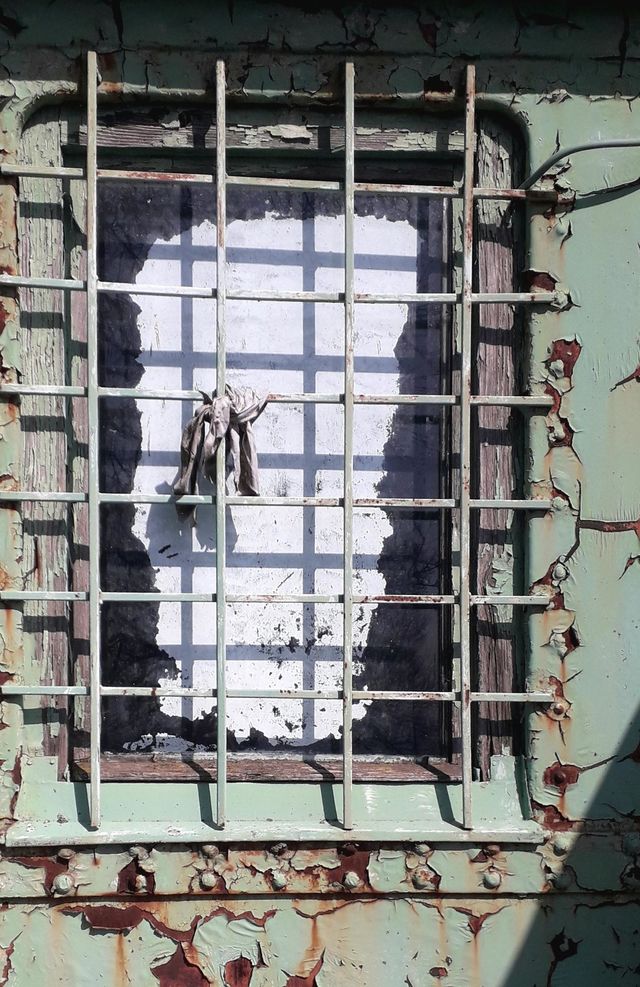 Window