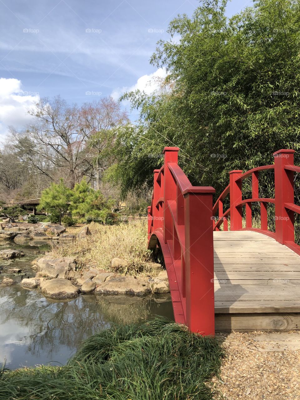 Japanese water garden at Birmingham Botanical Gardens 