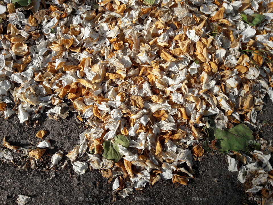 High angle view dry garbage