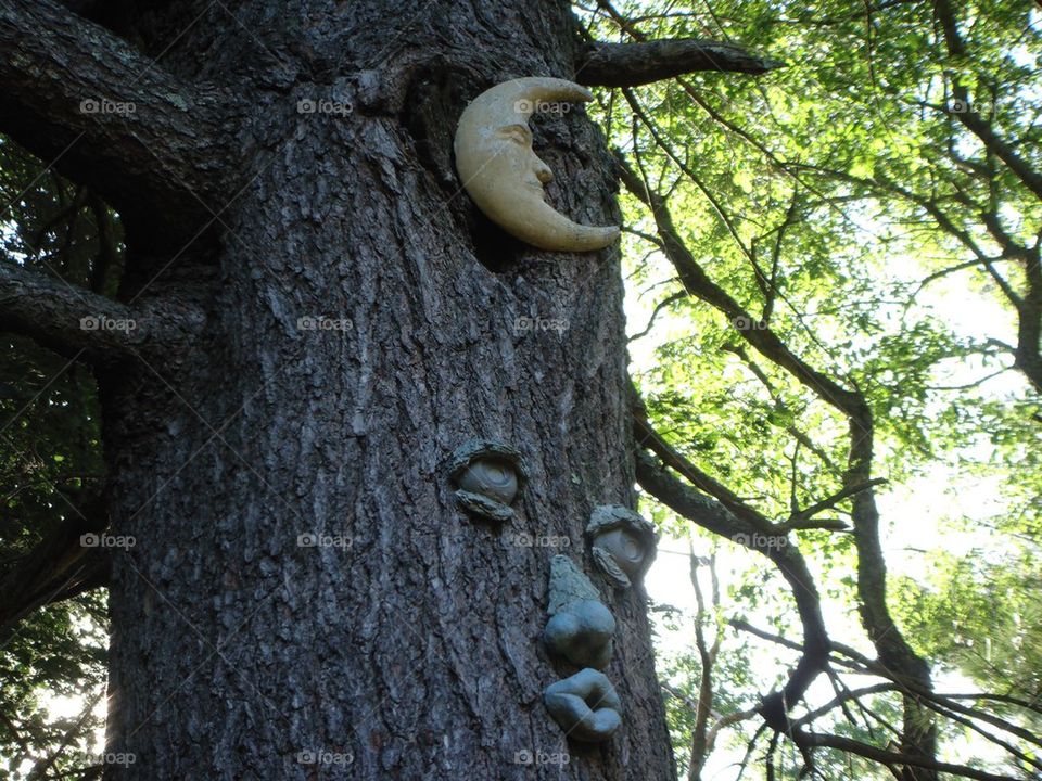 Face on Tree and Yellow Moon