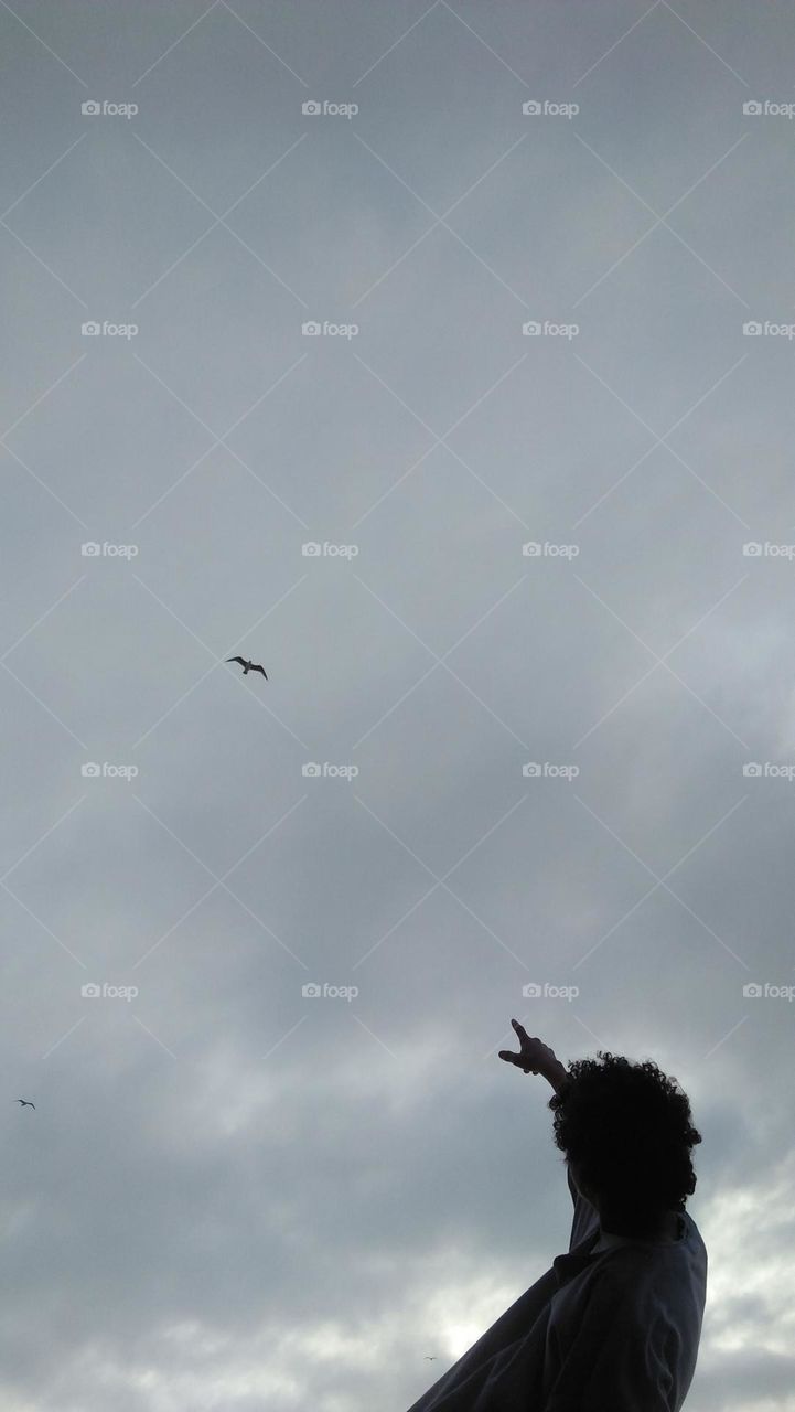 adult man looking at a seagull in the sky.