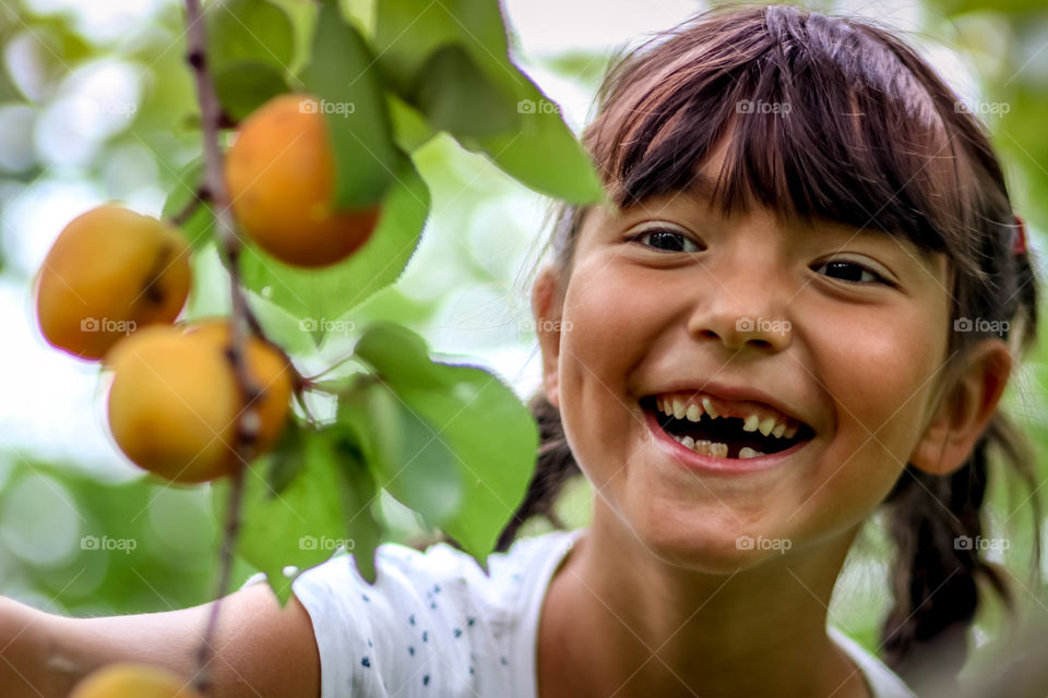 Cute little girl is picking apricots from a tree