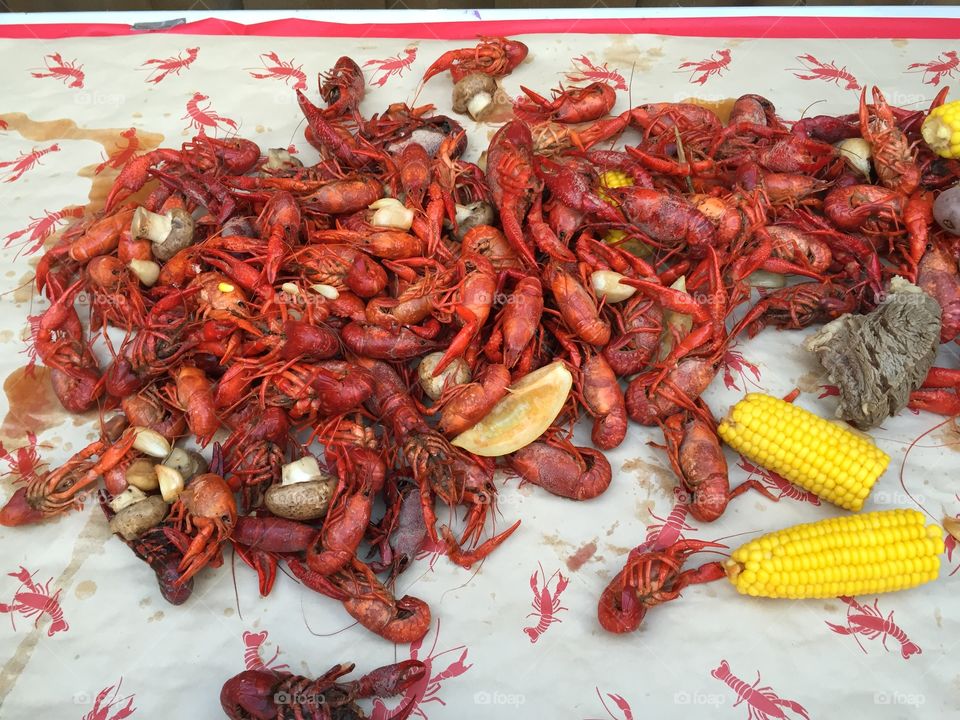 mudbugs ready