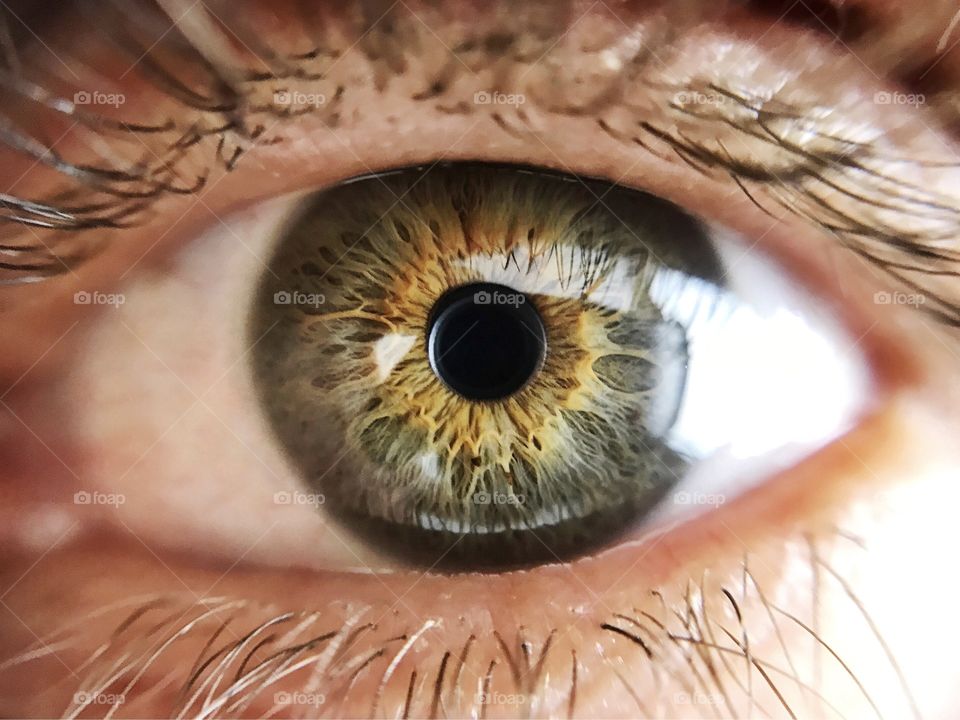 Close-up of human eye