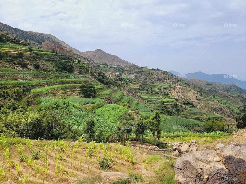 Glory be to God, the magnificent and picturesque view and the natural green trees are a view that is nothing more wonderful than it