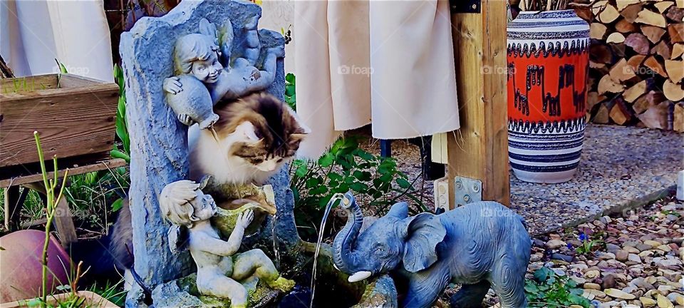 This fountain with an angel and an elephant sculpture is a new favorite toy for “Linda”, the cat in “Bavaria”, Germany. She can put her head through the wall behind the well and swat at the water or simply look around. 2024. Hypnotic Productions